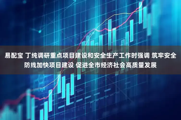 易配宝 丁纯调研重点项目建设和安全生产工作时强调 筑牢安全防线加快项目建设 促进全市经济社会高质量发展